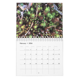 Graphic photo calendar kalender