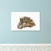 Graphite, Danville, Vermont, Verenigde Staten Canvas Afdruk (Insitu (Houten vloer))