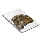 Graphite, Danville, Vermont, Verenigde Staten Notitieboek (Rechterzijde)