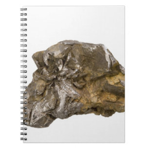 Graphite, Danville, Vermont, Verenigde Staten Notitieboek