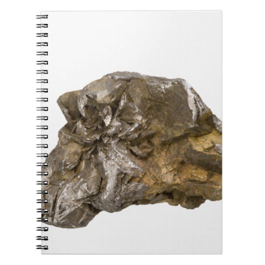 Graphite, Danville, Vermont, Verenigde Staten Notitieboek (Voorkant)