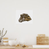 Graphite, Danville, Vermont, Verenigde Staten Poster (Keuken)