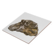 Graphite, Danville, Vermont, Verenigde Staten Tegeltje (Zijkant)