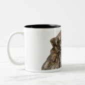 Graphite, Danville, Vermont, Verenigde Staten Tweekleurige Koffiemok (Links)