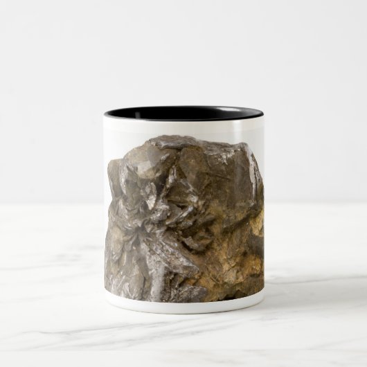 Graphite, Danville, Vermont, Verenigde Staten Tweekleurige Koffiemok (Center)