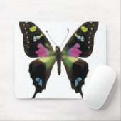 Graphium butterfly muismat (Met muis)