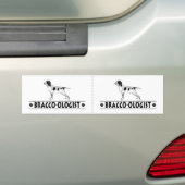 Grapige Bracco Italiano Bumpersticker (Op auto)