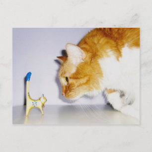 Grapige kat die naar houten kattenbeeld staart briefkaart