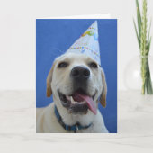 Grapjige Dog Birthday Card Kaart (Voorkant)