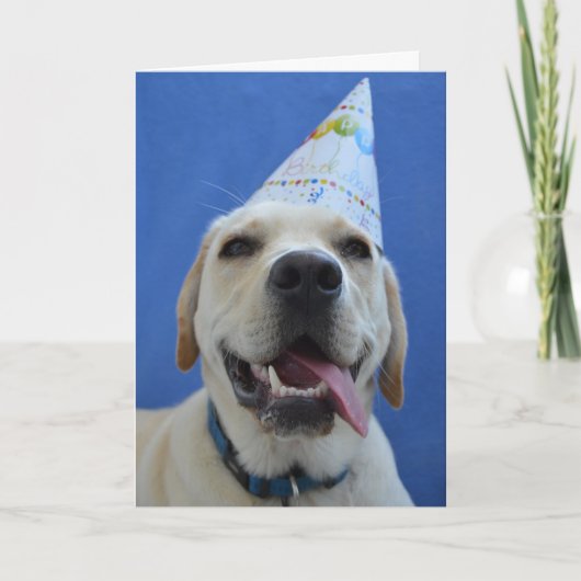 Grapjige Dog Birthday Card Kaart (Voorkant)