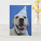 Grapjige Dog Birthday Card Kaart (Gele Bloem)