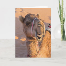 Grapjny Camel Kaart