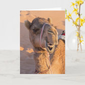 Grapjny Camel Kaart (Gele Bloem)