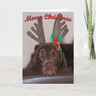 Grapnachtelijke Kerstlabrador Met Glitter Geweien Feestdagen Kaart