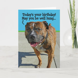 Grapny Pit Bull Birthday Card Kaart
