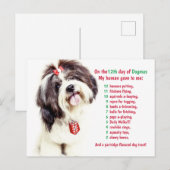 Grappig 12 dagen van Kerstmis Dogmas Feestdagenkaart (Voorkant / Achterkant)