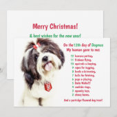 Grappig 12 dagen van Kerstmis Dogmas Feestdagenkaart (Voorkant / Achterkant)