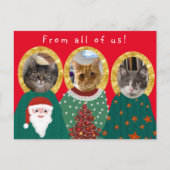 Grappig 3 Katten Custom Foto Lelijke Kerst Trui Briefkaart (Voorkant)