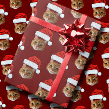 Grappig Aangepast Gezicht Kat Foto Kerstman Hoed K