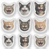 Grappig Aangepast Kattengezicht – Gepersonaliseerd Sticker (Voorkant)