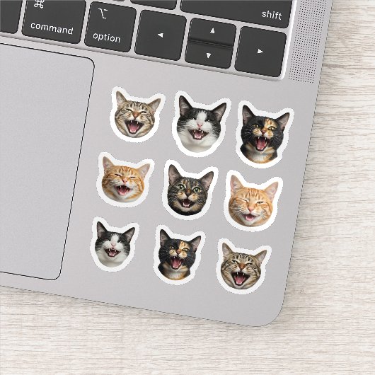 Grappig Aangepast Kattengezicht – Gepersonaliseerd Sticker (Detail)
