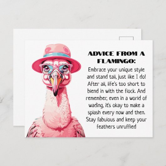 Grappig advies van A Flamingo Briefkaart (Voorkant / Achterkant)