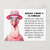 Grappig advies van A Flamingo Briefkaart (Voorkant)