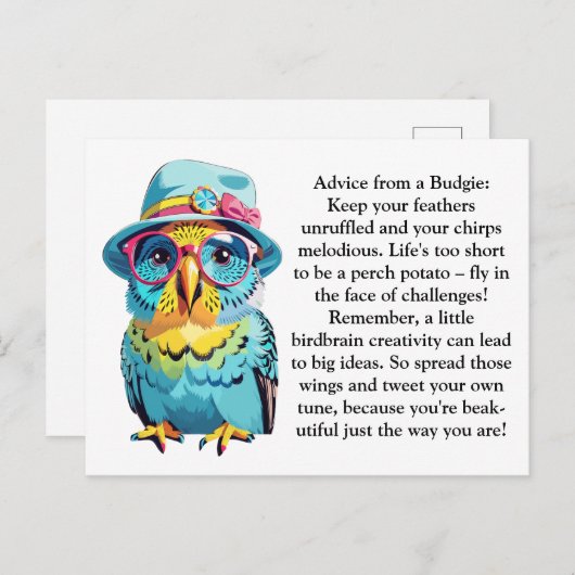 Grappig advies van een budgie briefkaart (Voorkant / Achterkant)