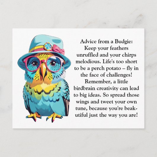 Grappig advies van een budgie briefkaart (Voorkant)