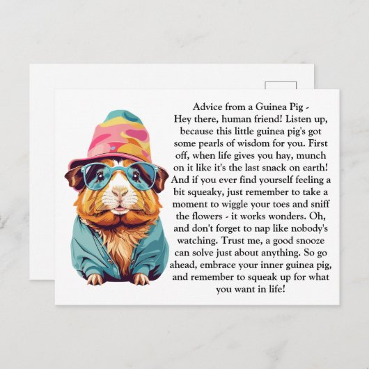 Grappig advies van een cavia briefkaart (Voorkant / Achterkant)