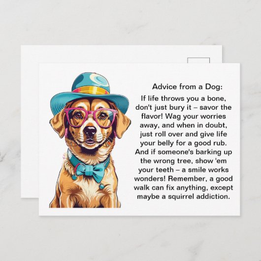 Grappig advies van een hond briefkaart (Voorkant / Achterkant)