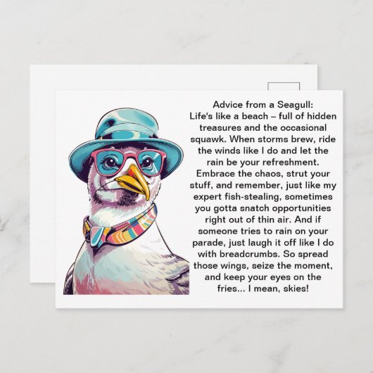 Grappig advies van een meeuw briefkaart (Voorkant / Achterkant)