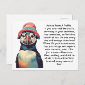 Grappig advies van een puffin briefkaart (Voorkant / Achterkant)