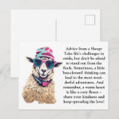 Grappig advies van een schaap briefkaart (Voorkant / Achterkant)