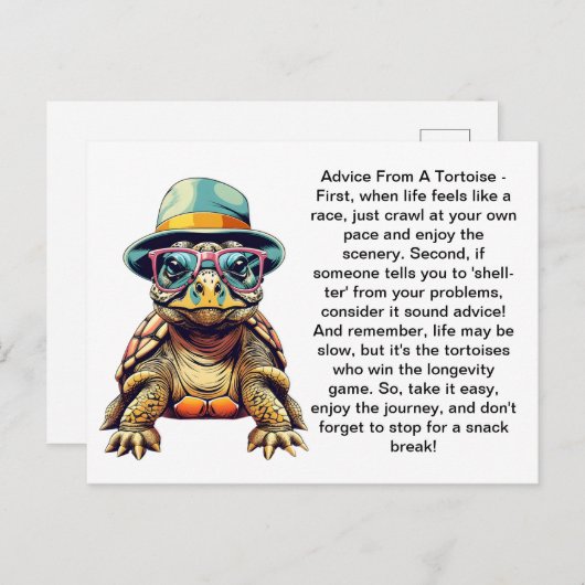Grappig advies van een schildpad briefkaart (Voorkant / Achterkant)
