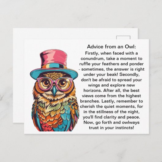 Grappig advies van een uil briefkaart (Voorkant / Achterkant)