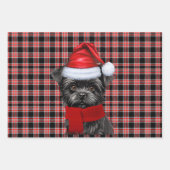 Grappig Affenpinscher Kersthond Vakantie Plaid Inpakpapier Vel (Voorkant 3)
