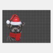 Grappig Affenpinscher Kersthond Vakantie Plaid Inpakpapier Vel (Voorkant 2)