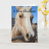 Grappig Afstuderen Afstuderen Gefeliciteerd Paard Kaart (Gele Bloem)