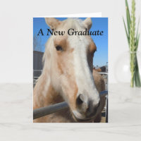 Grappig Afstuderen Afstuderen Gefeliciteerd Paard