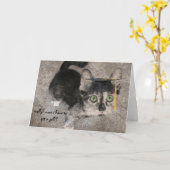 Grappig Afstuderen, breedogige kitten Kaart (Gele Bloem)