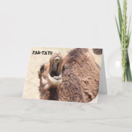 Grappig Afstuderen Kaart, Party Camel Kaart
