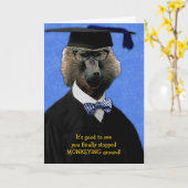 Grappig Afstuderen Monkey Baboon Gefeliciteerd Kaart (Gele Bloem)