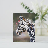 Grappig AI Art Leopard Appaloosa Paard Briefkaart (Staand voorkant)