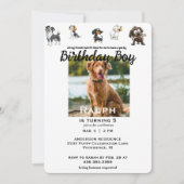 Grappig Al mijn vrienden Pet Photo Verjaardagsfees Kaart (Voorkant)