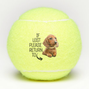 Grappig Als Verloren Bij Hond Foto Terugkeren Tennisballen