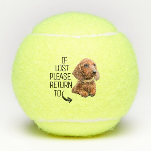 Grappig als verloren Terug naar Hond Foto Tennisballen (Voorkant)