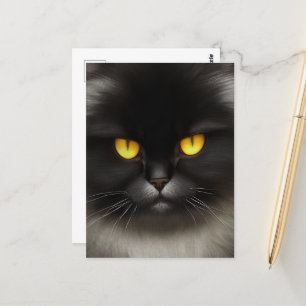 Grappig Angry Fluffy Black Perzische Kitty Cat Fac Briefkaart
