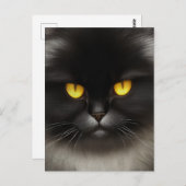 Grappig Angry Fluffy Black Perzische Kitty Cat Fac Briefkaart (Voorkant / Achterkant)