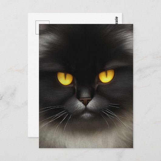 Grappig Angry Fluffy Black Perzische Kitty Cat Fac Briefkaart (Voorkant / Achterkant)